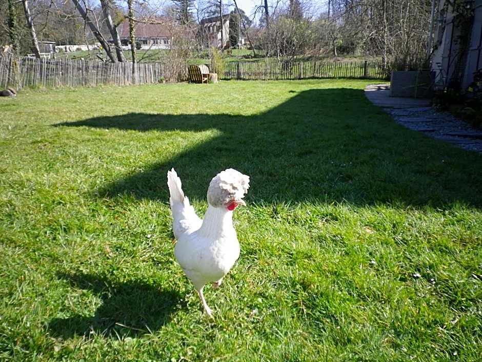 Le Brame - Chambres d&#x27;Hôtes