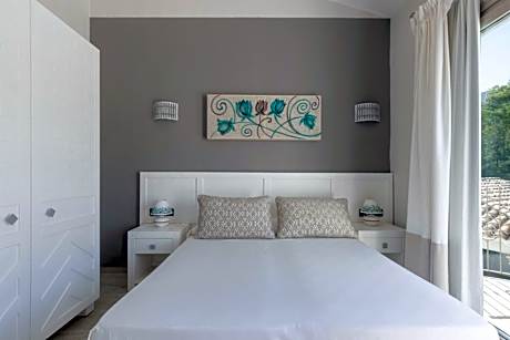 Superior Deluxe Double or Twin Room