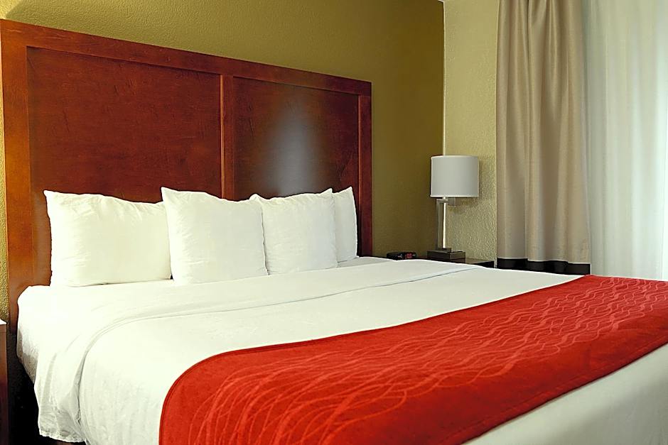 Comfort Inn University