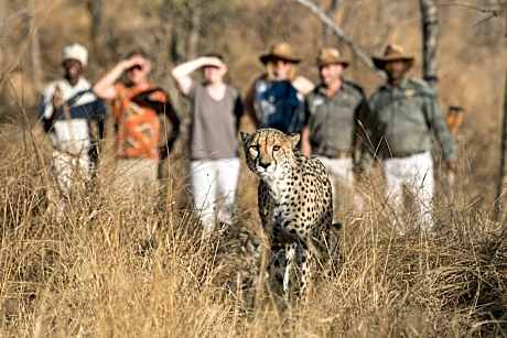 Becks Safari Lodge