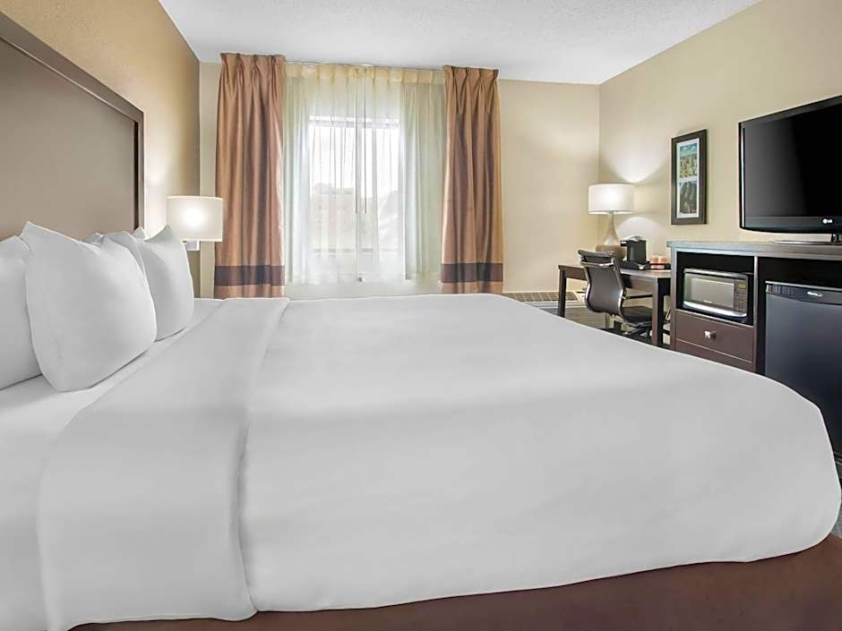 Comfort Inn Detroit Downtown
