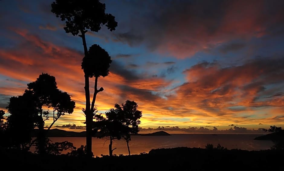 Atremaru Jungle Retreat