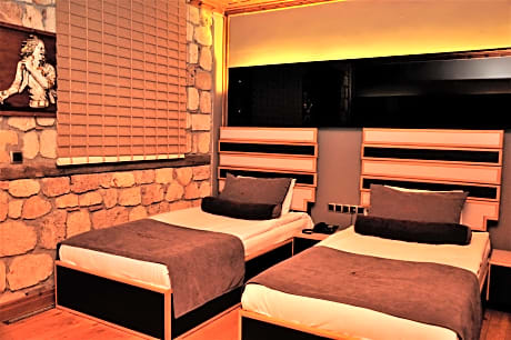 Standart Twin Room Dbl Use