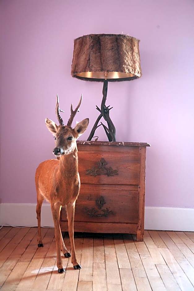 Maison d'hôtes Stella Cadente