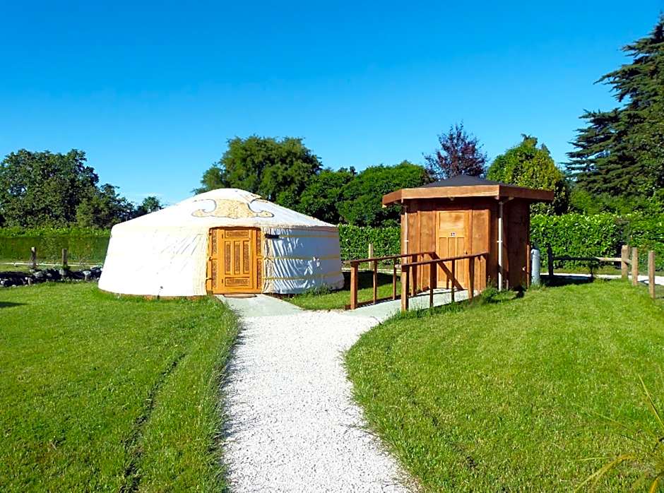 Wacky Stays - unique farm-stay glamping rentals, FREE animal feeding tours
