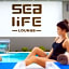 Sealife Lounge - Adult only                                                                     