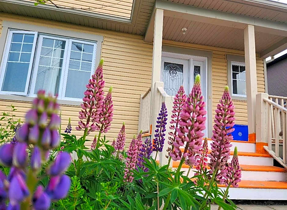 Maison chaleureuse, énergétique et florale