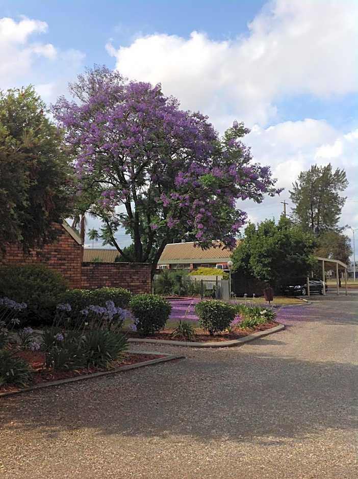 Belvoir Village Motel & Apartments Wodonga