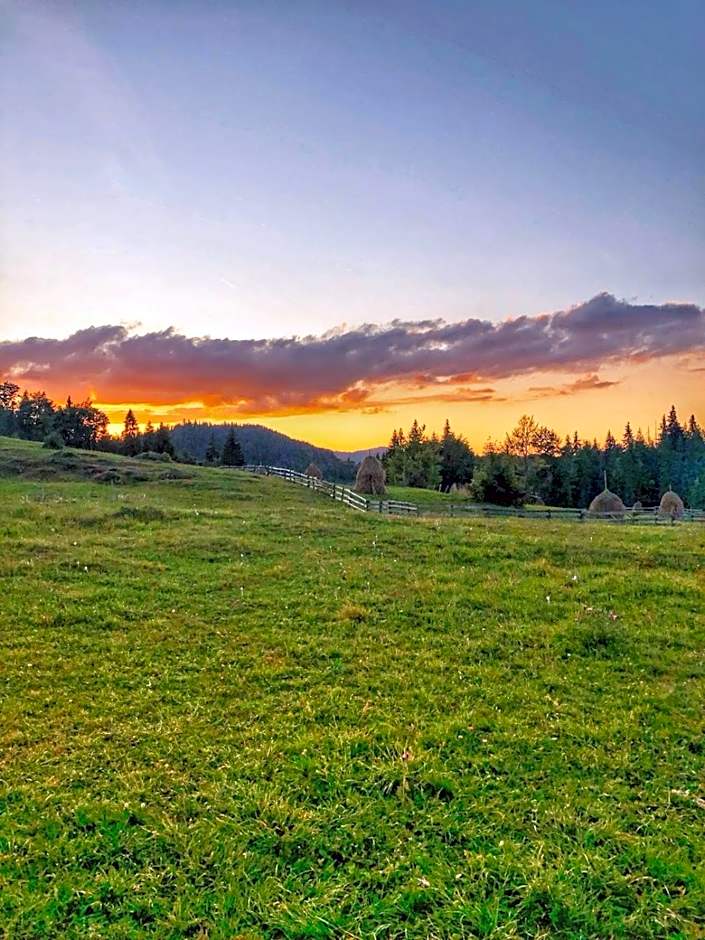 Cabana Poiana Dealul Frumos