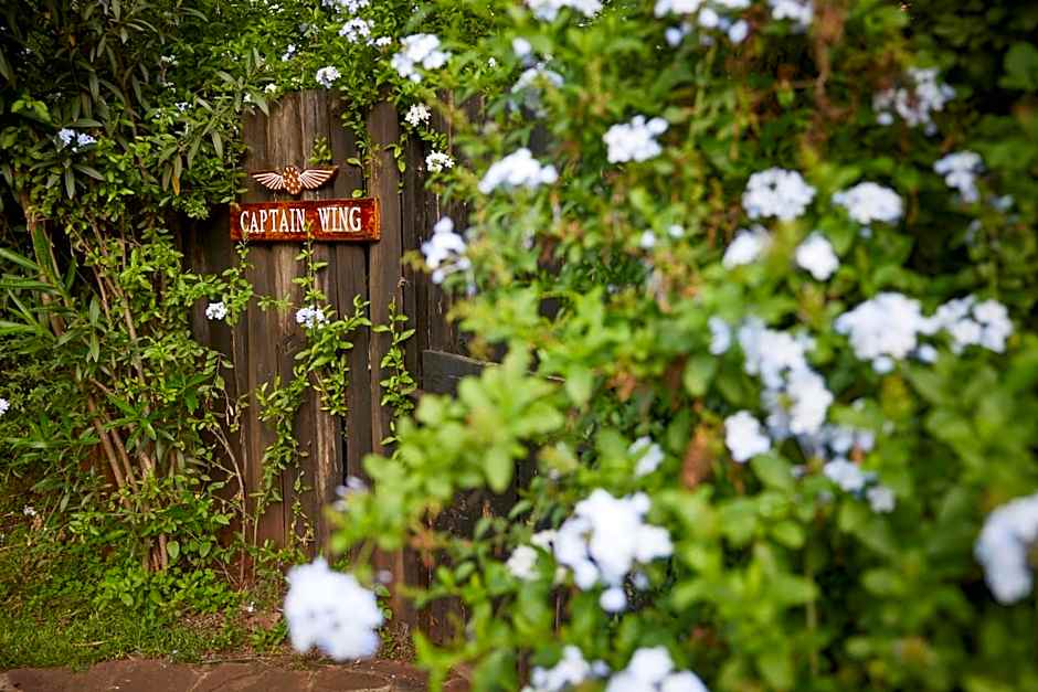 Aero Club of East Africa