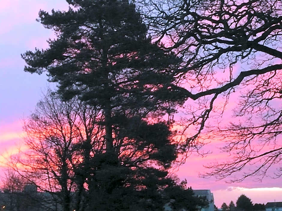 Blackaddie House Hotel