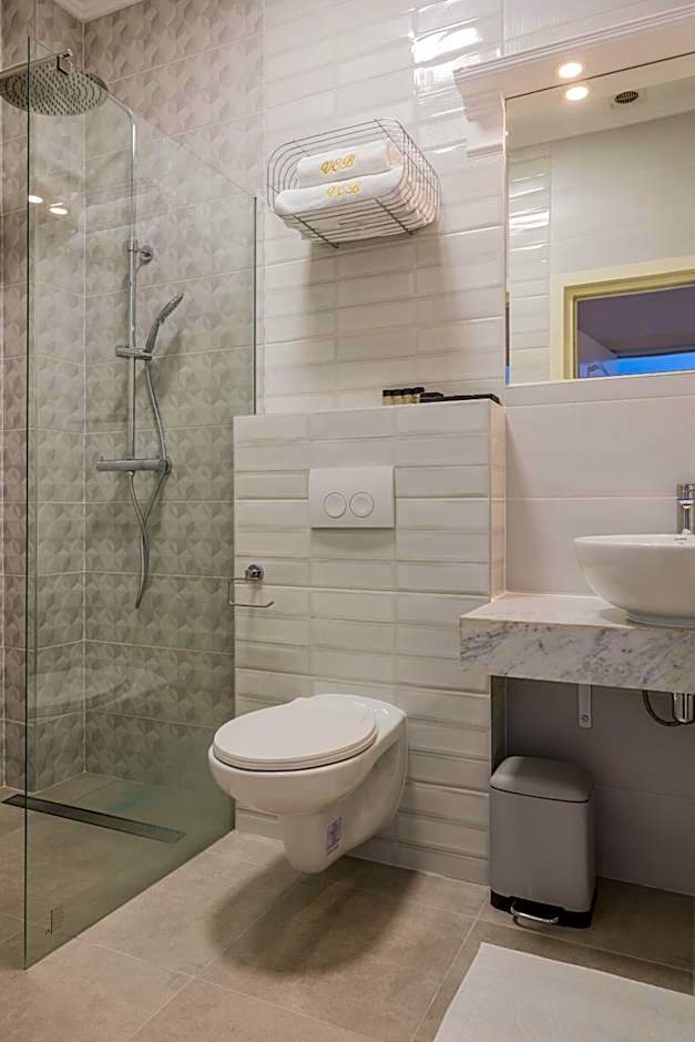 Hotel Vila Central Boutique Satu Mare