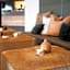 Lindesnes Havhotel