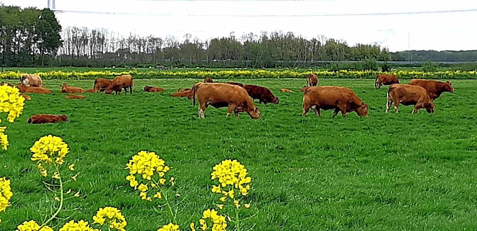 Hotel / Pension Villa Tanahlot