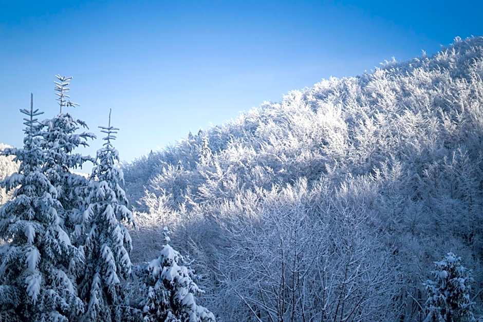Poniwiec Mała Czantoria