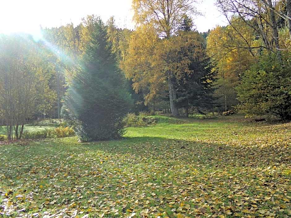 Hotel-Spa & Restaurant Logis Domaine Langmatt