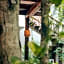 Orchid House Tulum