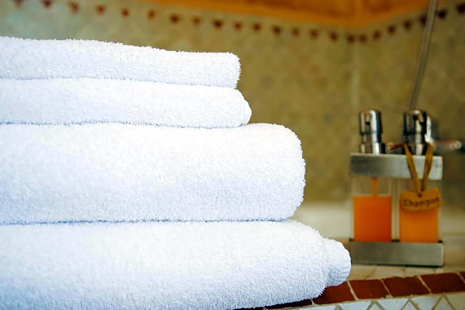 Dar Liouba Hotel