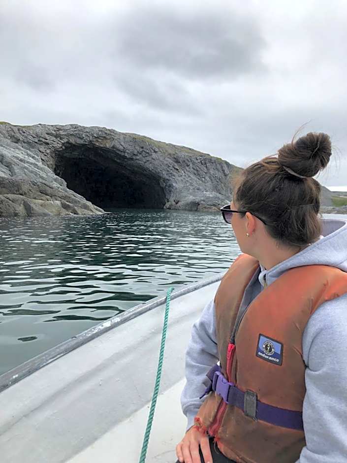 Raleigh Rooms & Taylor's Crafts