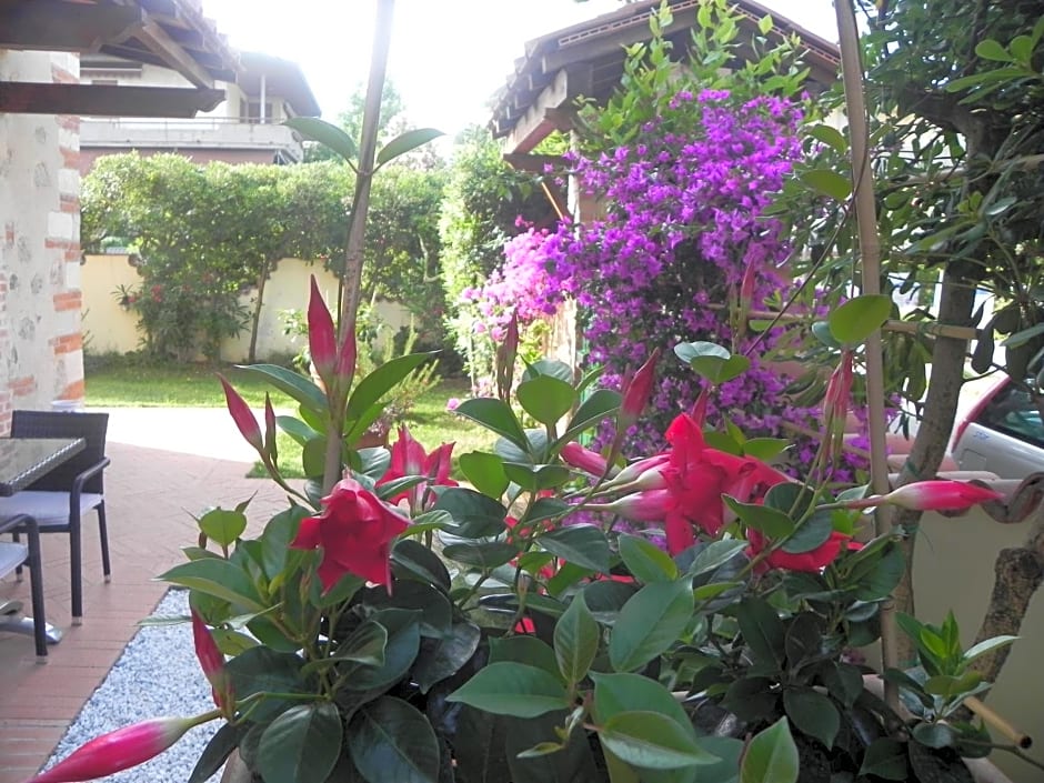 Villa Il Fortino