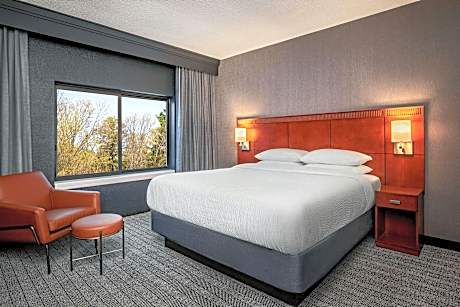 King Suite, 1 Bedroom 2 room Suite, 1 King, Sofa bed