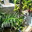 Hotel Pelecanus Suites Holbox