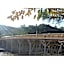 Aji no Yado Michishio - Vacation STAY 93780v