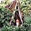 Hotel Bardo - Adults Only