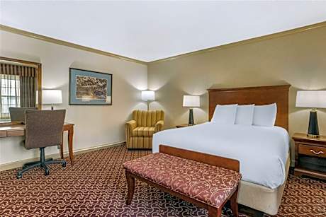 Large Queen Room - Non-Smoking