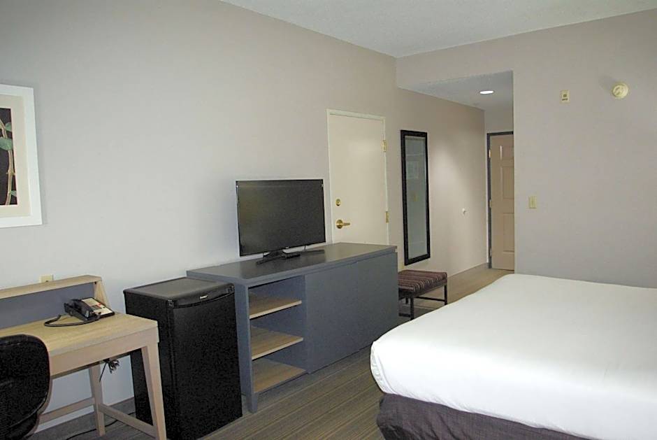 Wingate by Wyndham Matthews/Charlotte