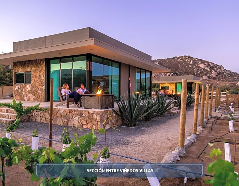 Hotel Boutique Valle de Guadalupe