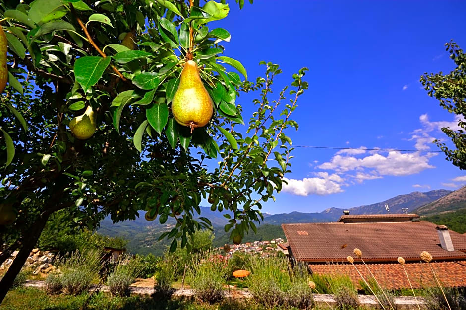 Affittacamere Convivio