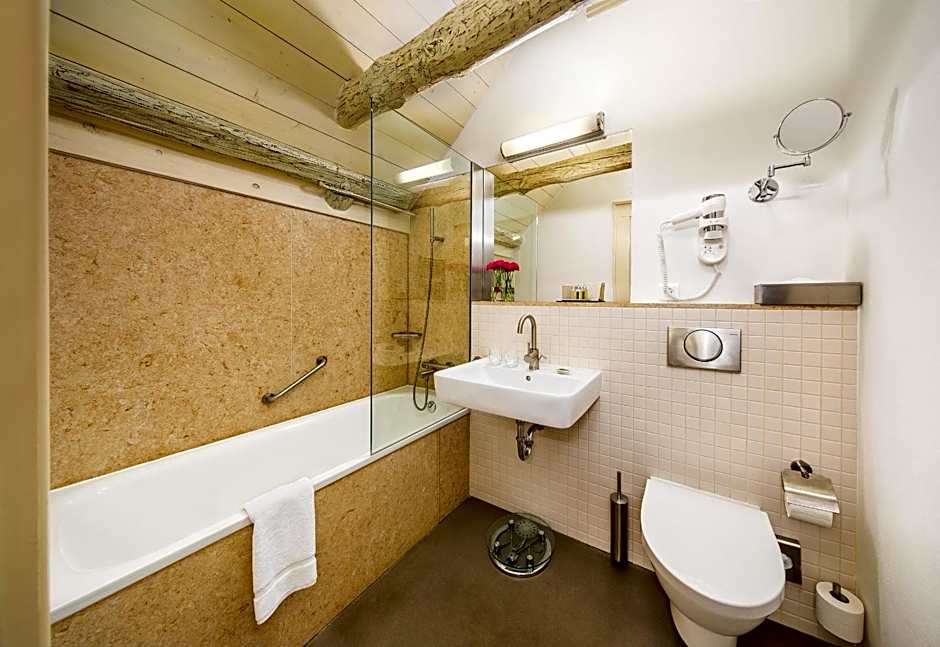 Bellevue hotel Karlov