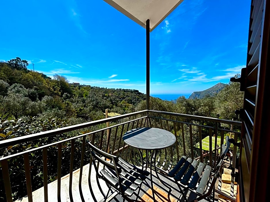 Domus Ars Home & Spa