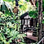 Daintree Wilderness Lodge