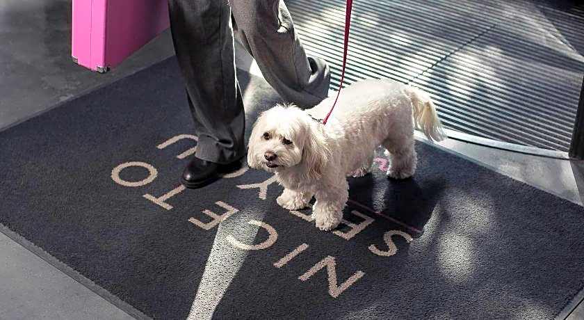 Moxy by Marriott Tbilisi