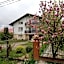 Agrowczasy