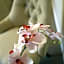 Hotel Intersur Recoleta