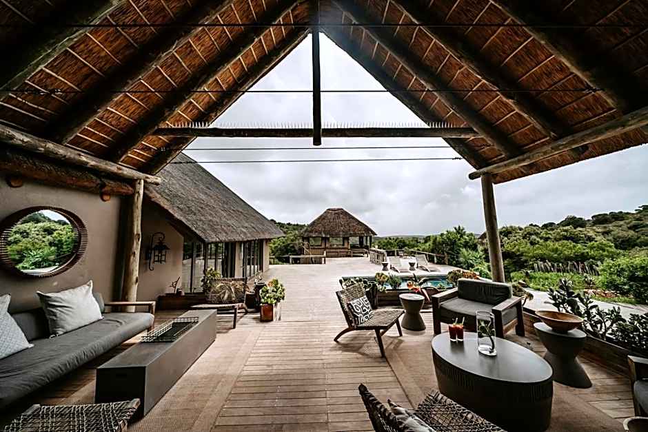 Bukela Game Lodge - Amakhala Game Reserve