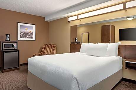 Queen Room with Roll-In Shower - Mobility Accessible/Non-Smoking