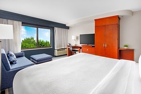 Suite, 1 King Bed with Sofa bed (1 King Bed and 1 Double Sofa Bed)