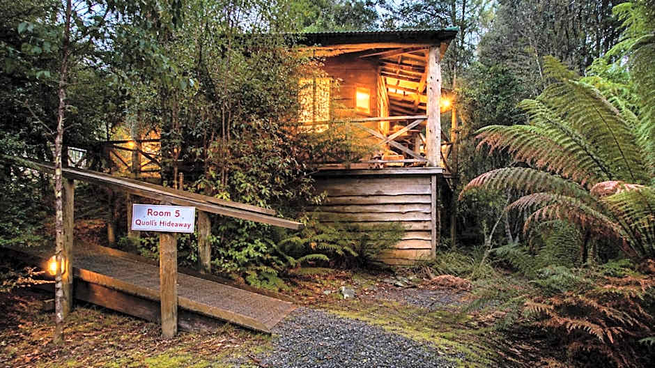 Cradle forest inn