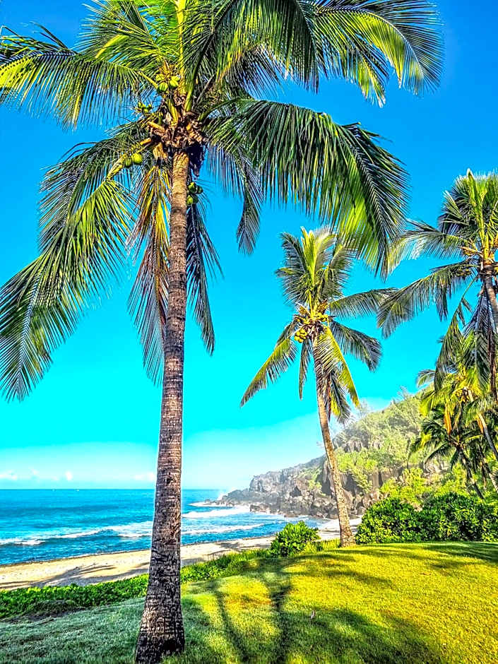 Maison d'hôtes Villa des Mascareignes