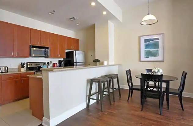 Amazing Condos Beautiful View 2 Blocks To French Quarter, Small Rooftop Pool, Gym, Seanger Theater, Super Dome, And Bourbon St