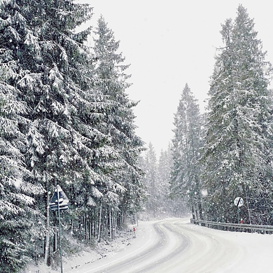 Siumno Izba B&B Brzegi