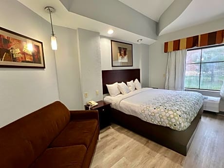 Studio King Bed Non Smoking