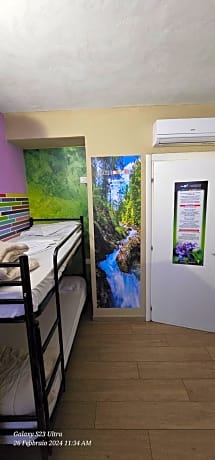 Bed in 4-Bed Male Dormitory Room