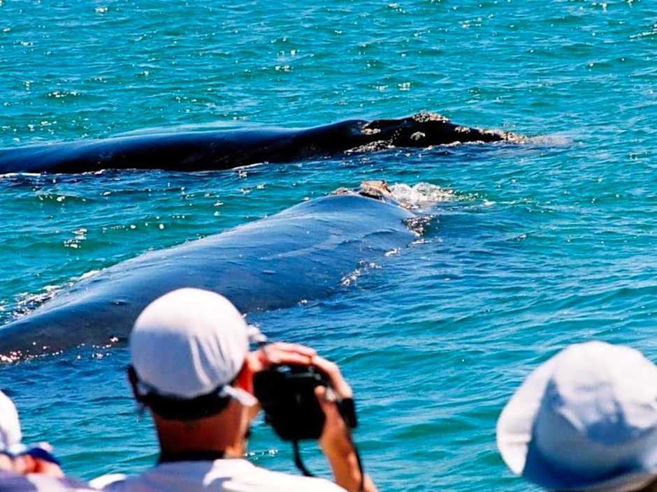 Hermanus Cliff Path Lodge - No Load-shedding