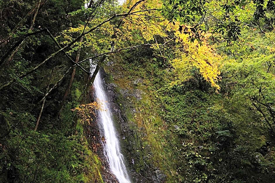 Yadori Onsen Iyashinoyu
