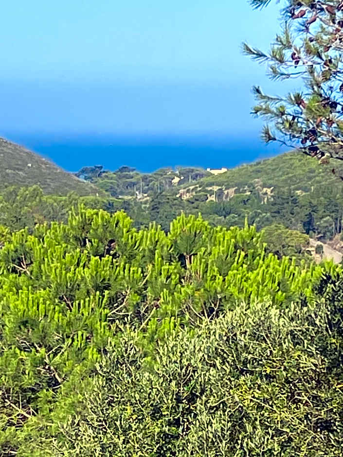 AMAZIGH HOSTEL Rooms & Dorm with Share Kitchen